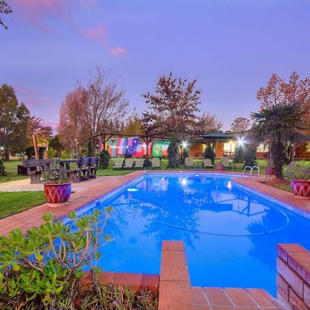 Airport Bird & Game Lodge Kempton Park Esterno foto