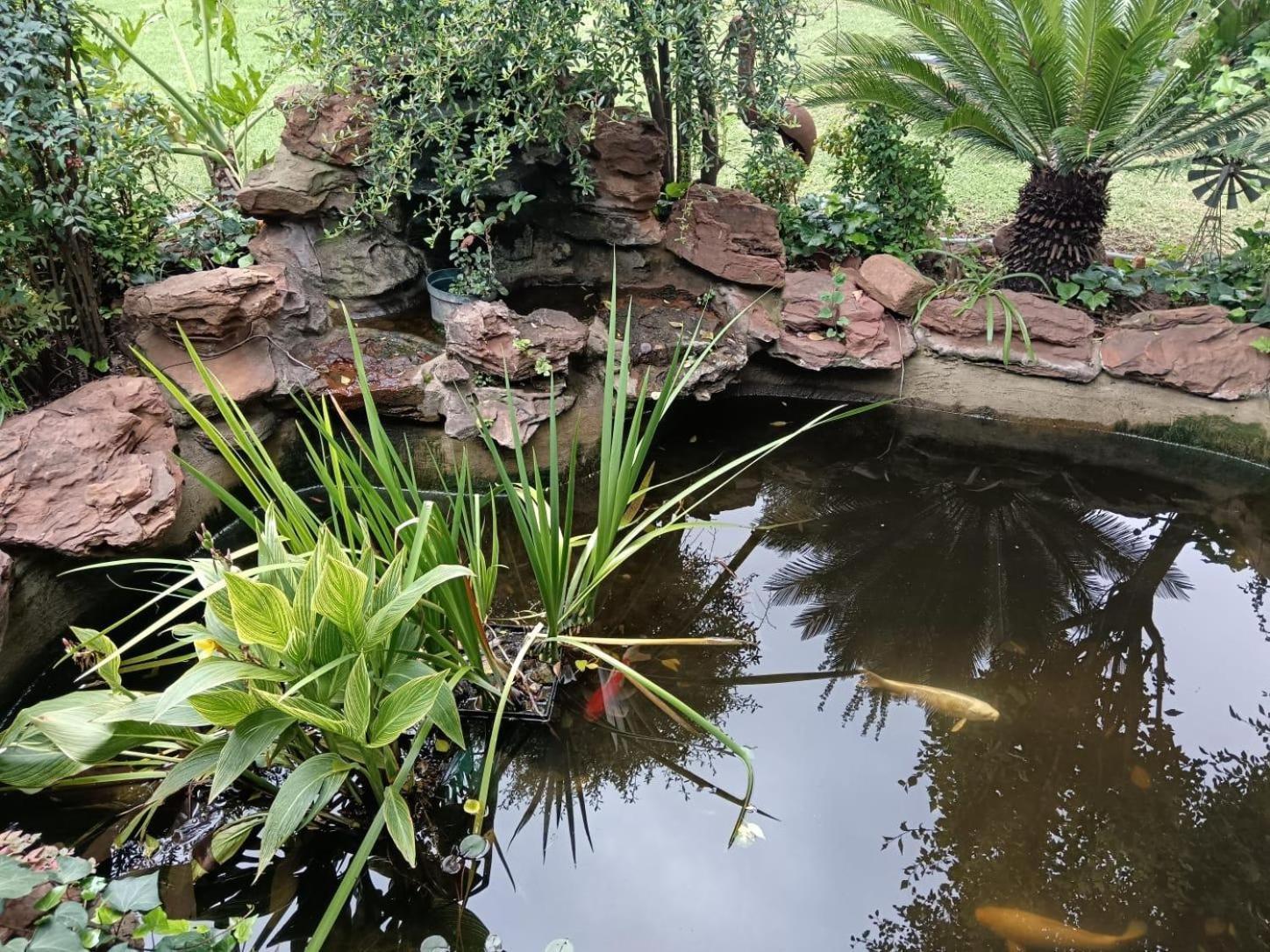 Airport Bird & Game Lodge Kempton Park Esterno foto